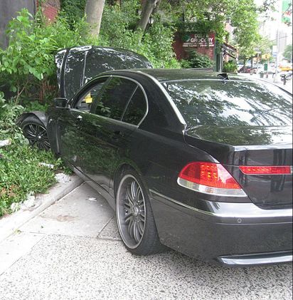 Picture of a black car that crashed into a fence with bushes